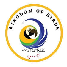 Kingdom of Birds
