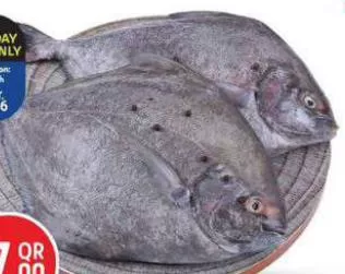 Fresh Black Pomfret UAE, QAR 17.00 at Safari Hypermarket