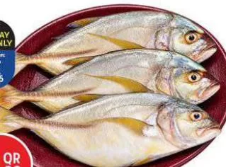Fresh Yellow Vatta (Trevelly) Oman, QAR 11.00 at Safari Hypermarket
