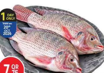 Fresh Tilapia Egypt, QAR 7.75 at Safari Hypermarket