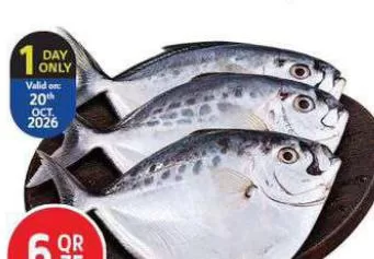 Fresh Cd Fish (Silverbelly) UAE, QAR 6.75 at Safari Hypermarket