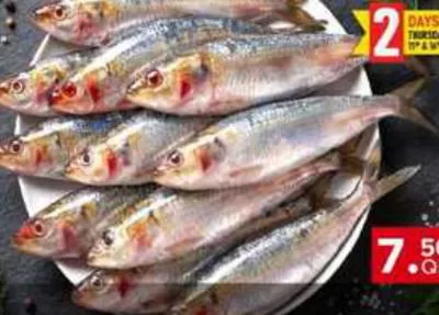 Sardines Oman, QAR 7.50 at Family Food Centre
