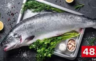 Salmon Norway, QAR 48.75 at Family Food Centre