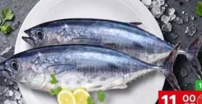Tuna Oman, QAR 11.00 at Family Food Centre