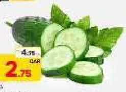 Cucumber, QAR 2.75 at Mark and Save