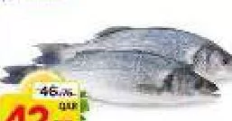 Sea Bass, QAR 42.75 at Mark and Save
