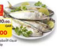 Mackrele, QAR 8.00 at Paris Hypermarket