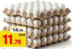 Fabulous White Egg, QAR 11.75 at Paris Hypermarket