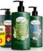Bioluxe Shampoo Assorted, QAR 12.00 at Paris Hypermarket