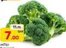 Broccoli, QAR 7.00 at Paris Hypermarket