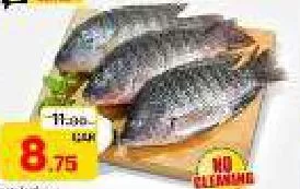 Tilapia, QAR 8.75 at Paris Hypermarket