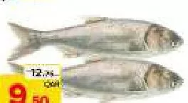 Silver, QAR 9.50 at Paris Hypermarket