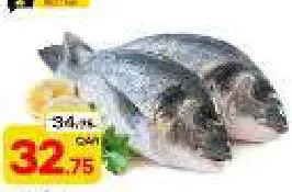 Sea Bream, QAR 32.75 at Paris Hypermarket