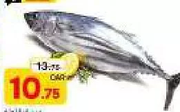 Tuna, QAR 10.75 at Paris Hypermarket