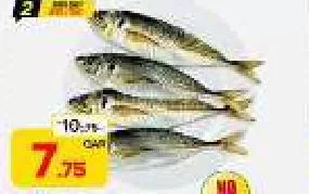Horse Mackerel, QAR 7.75 at Paris Hypermarket
