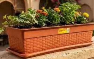HOME NEEDS RATTAN PLANTER RECT, QAR 16.00 at Family Food Centre