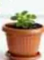 Alfelaj Planter Pot Assorted Small, QAR 3.50 at Family Food Centre