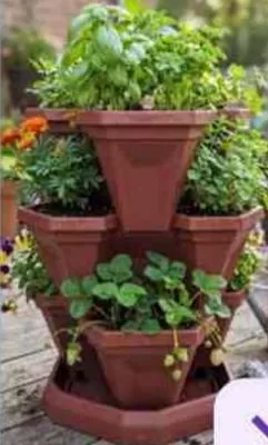 HOME NEEDS PLANTER SET 5S,  at Family Food Centre