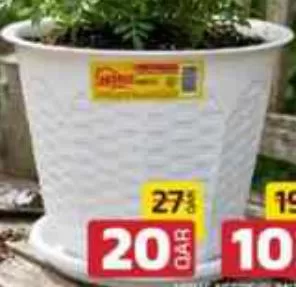 HOME NEEDS PLANTER ROUND, QAR 10.00 at Family Food Centre