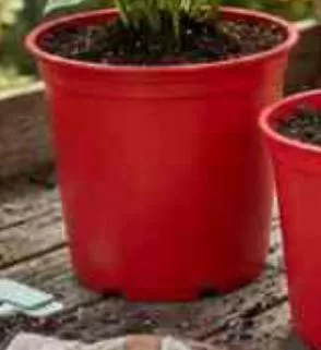 HOME NEEDS PLANTER ASSORTED, QAR 0.50 at Family Food Centre