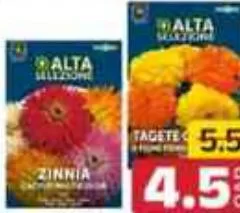 Alta Selezione Sunflower Seeds, QAR 4.50 at Family Food Centre