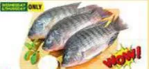 Tilapia, QAR 7.75 at Paris Hypermarket