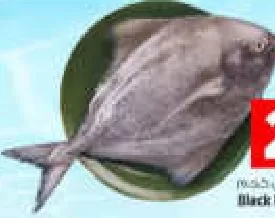 Black Pomfret, QAR 23.50 at Mark and Save