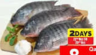 Tilapia Fish, QAR 8.75 at Mark and Save