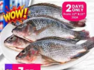 Tilapia Egypt, QAR 7.75 at Marza Hypermarket