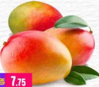 Mango Egypt, QAR 7.75 at Marza Hypermarket