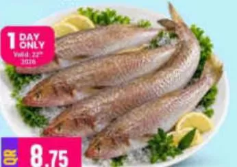 Macarona fish, QAR 8.75 at Marza Hypermarket