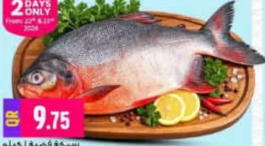 Silver Fish, QAR 9.75 at Marza Hypermarket