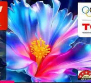 TCL GOOGLE TV 55 INCH 55P6L, QAR 1,199.00 at Marza Hypermarket