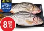 Fresh Katla, QAR 8.75 at Safari Hypermarket