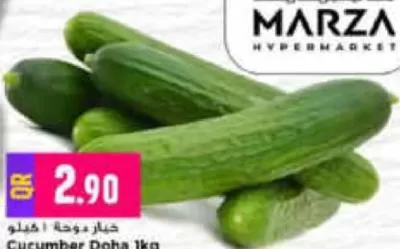 Cucumber Doha, QAR 2.90 at Marza Hypermarket