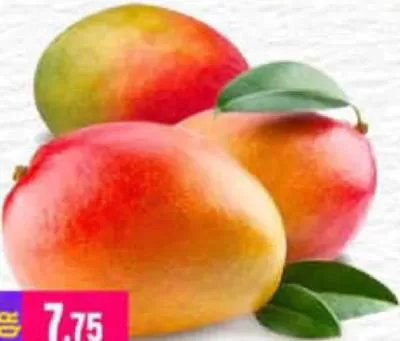Mango Egypt, QAR 7.75 at Marza Hypermarket