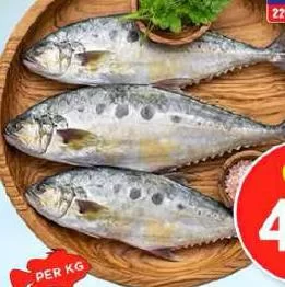 Basar Fish UAE, QAR 4.75 at Mark and Save