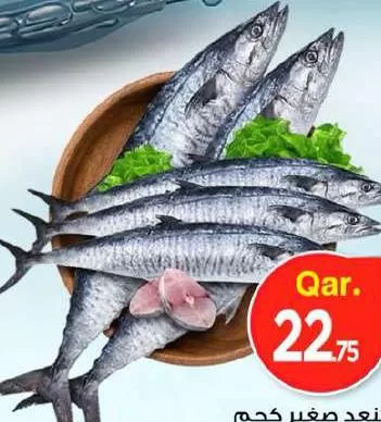 King Fish Small, QAR 22.75 at Mark and Save