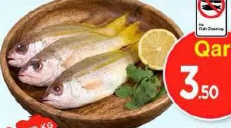 Nicer Fish UAE, QAR 3.50 at Mark and Save