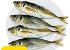 Mackerel, QAR 8.75 at Paris Hypermarket