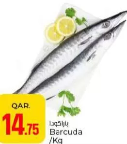 Barcuda, QAR 14.75 at Paris Hypermarket