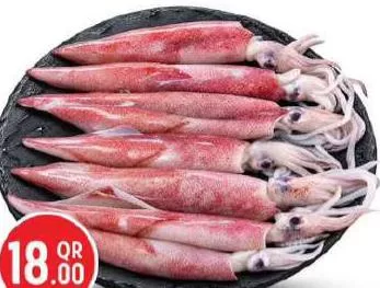 Fresh Squid, QAR 18.00 at Safari Hypermarket