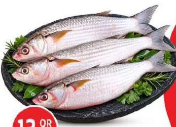 Fresh Mullet, QAR 13.00 at Safari Hypermarket