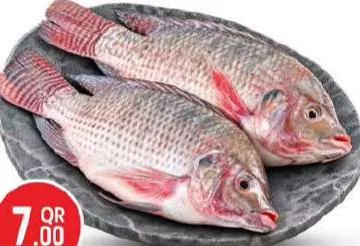 Fresh Tilapia, QAR 7.00 at Safari Hypermarket