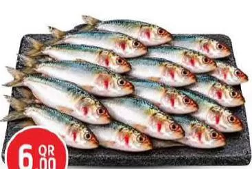 Fresh Sardine, QAR 6.00 at Safari Hypermarket