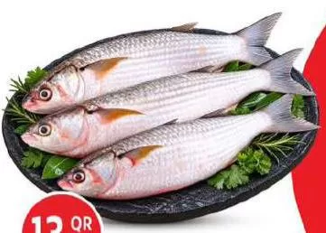 Fresh Mullet, QAR 13.00 at Safari Hypermarket
