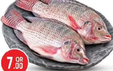 Fresh Tilapia, QAR 7.00 at Safari Hypermarket