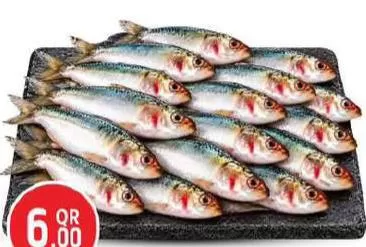 Fresh Sardine, QAR 6.00 at Safari Hypermarket