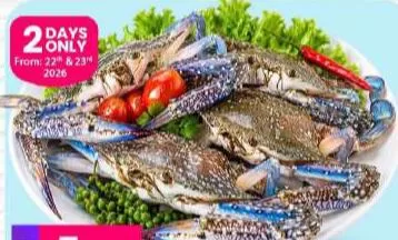Crab Male, QAR 5.75 at Marza Hypermarket