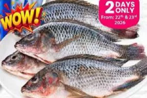 Tilapia Egypt, QAR 7.75 at Marza Hypermarket
